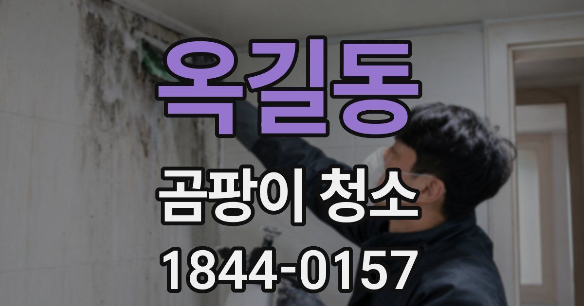 옥길동 곰팡이 청소