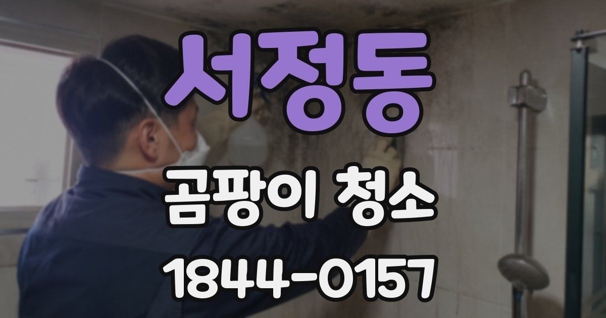 서정동 곰팡이 청소