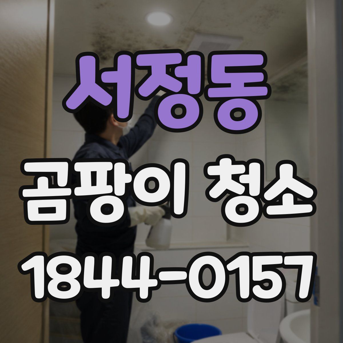 서정동 곰팡이 청소