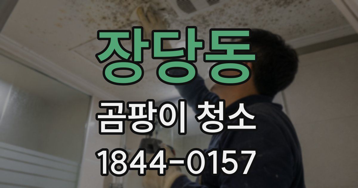 장당동 곰팡이 청소