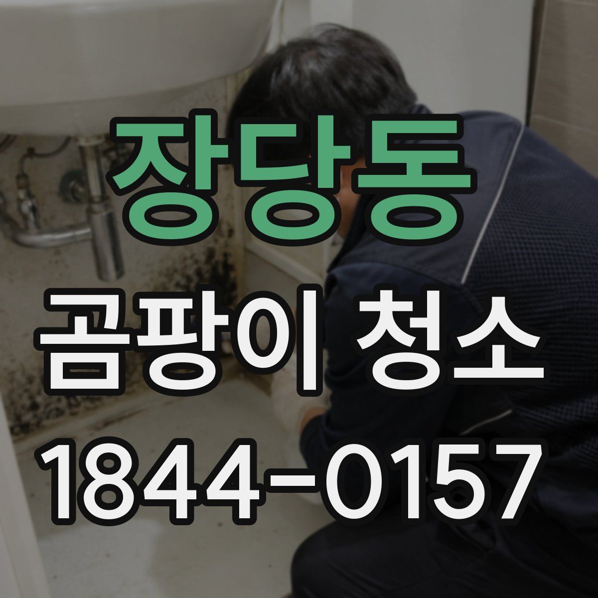 장당동 곰팡이 청소