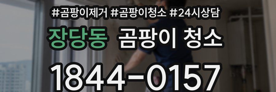 장당동 곰팡이 청소