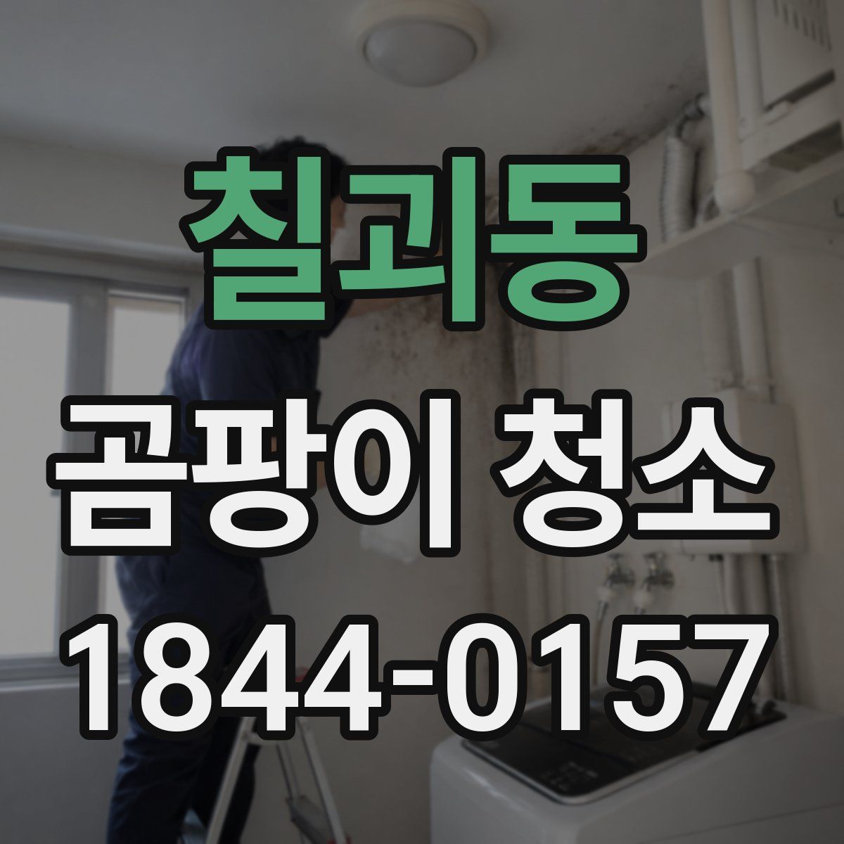 칠괴동 곰팡이 청소
