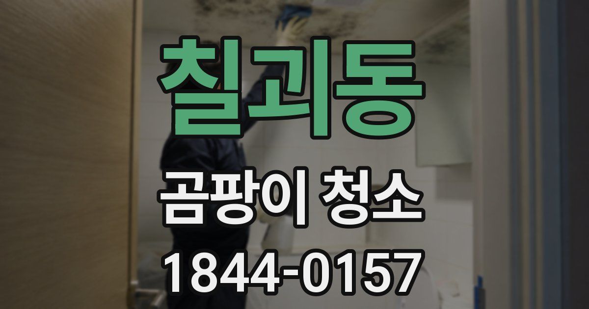 칠괴동 곰팡이 청소