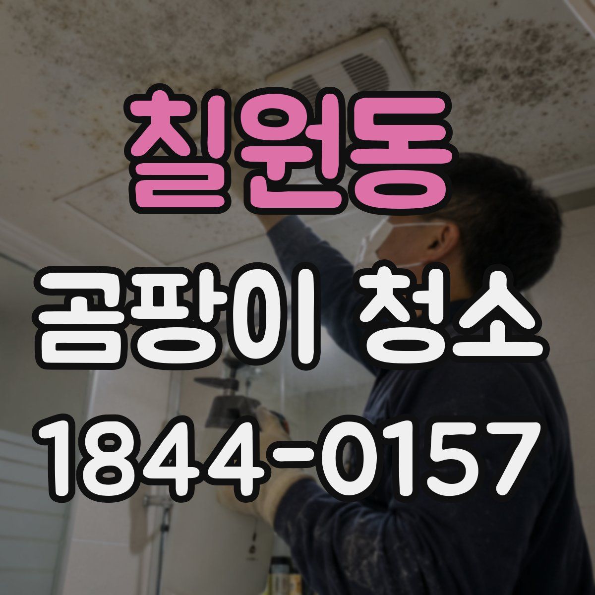 칠원동 곰팡이 청소