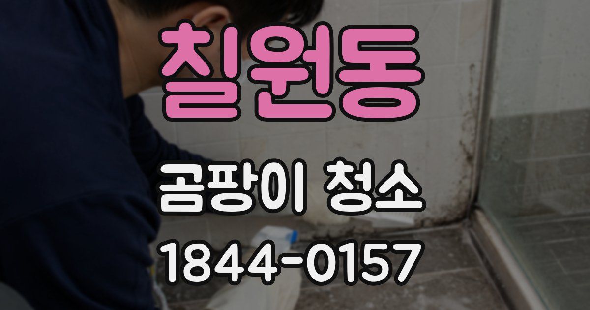 칠원동 곰팡이 청소