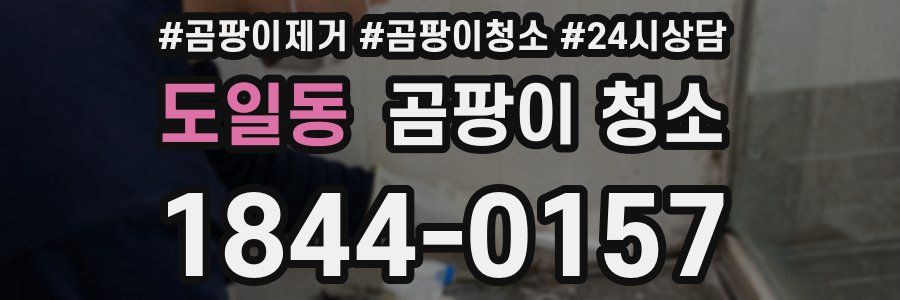 도일동 곰팡이 청소