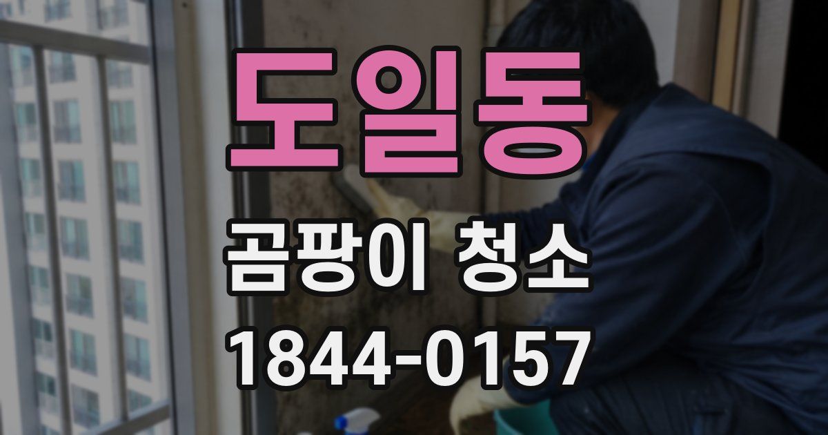 도일동 곰팡이 청소