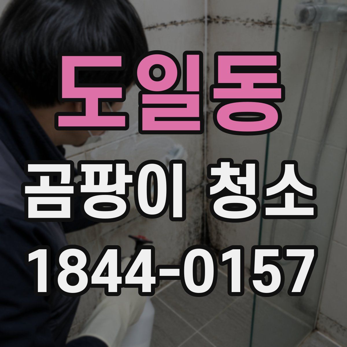 도일동 곰팡이 청소