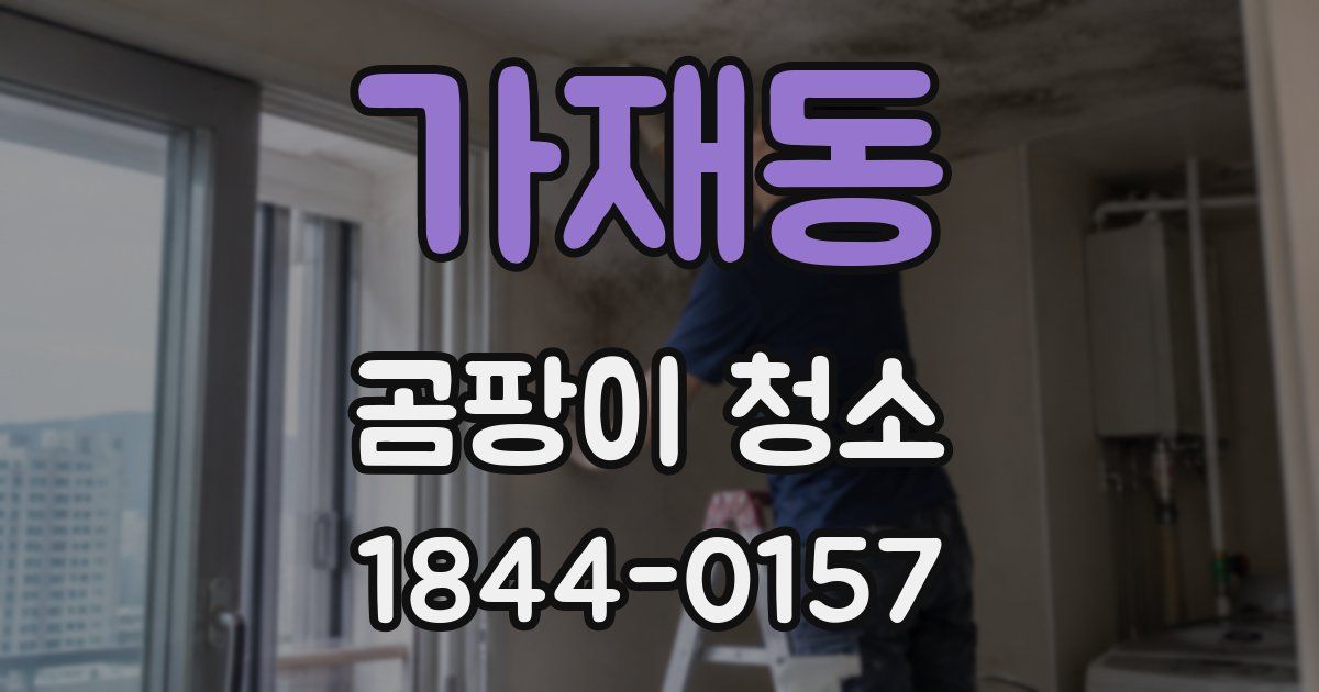가재동 곰팡이 청소