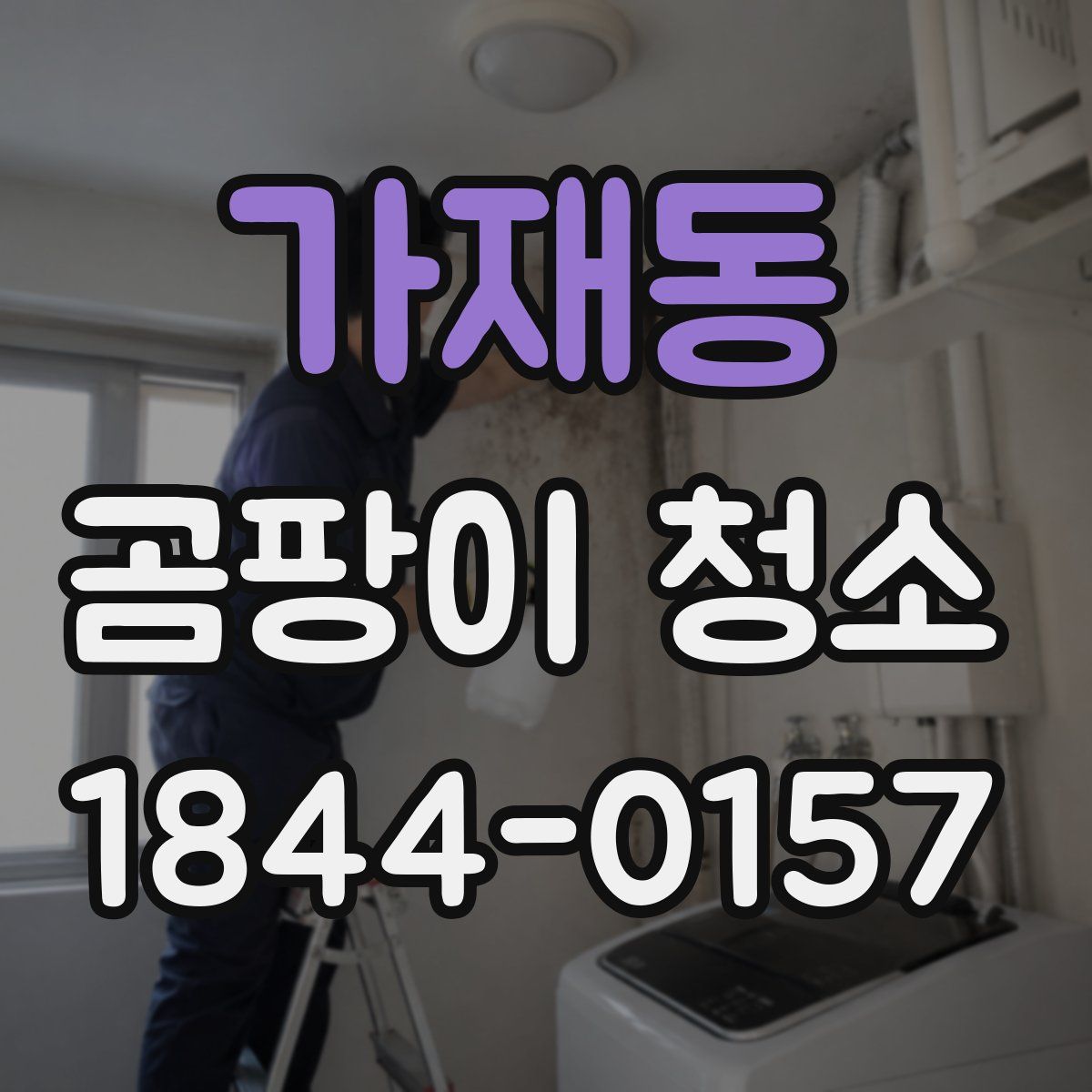 가재동 곰팡이 청소