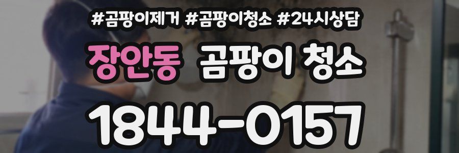 장안동 곰팡이 청소