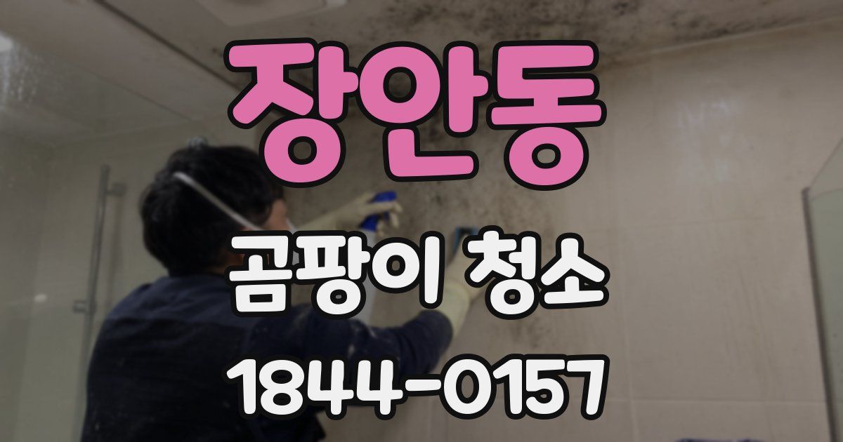 장안동 곰팡이 청소