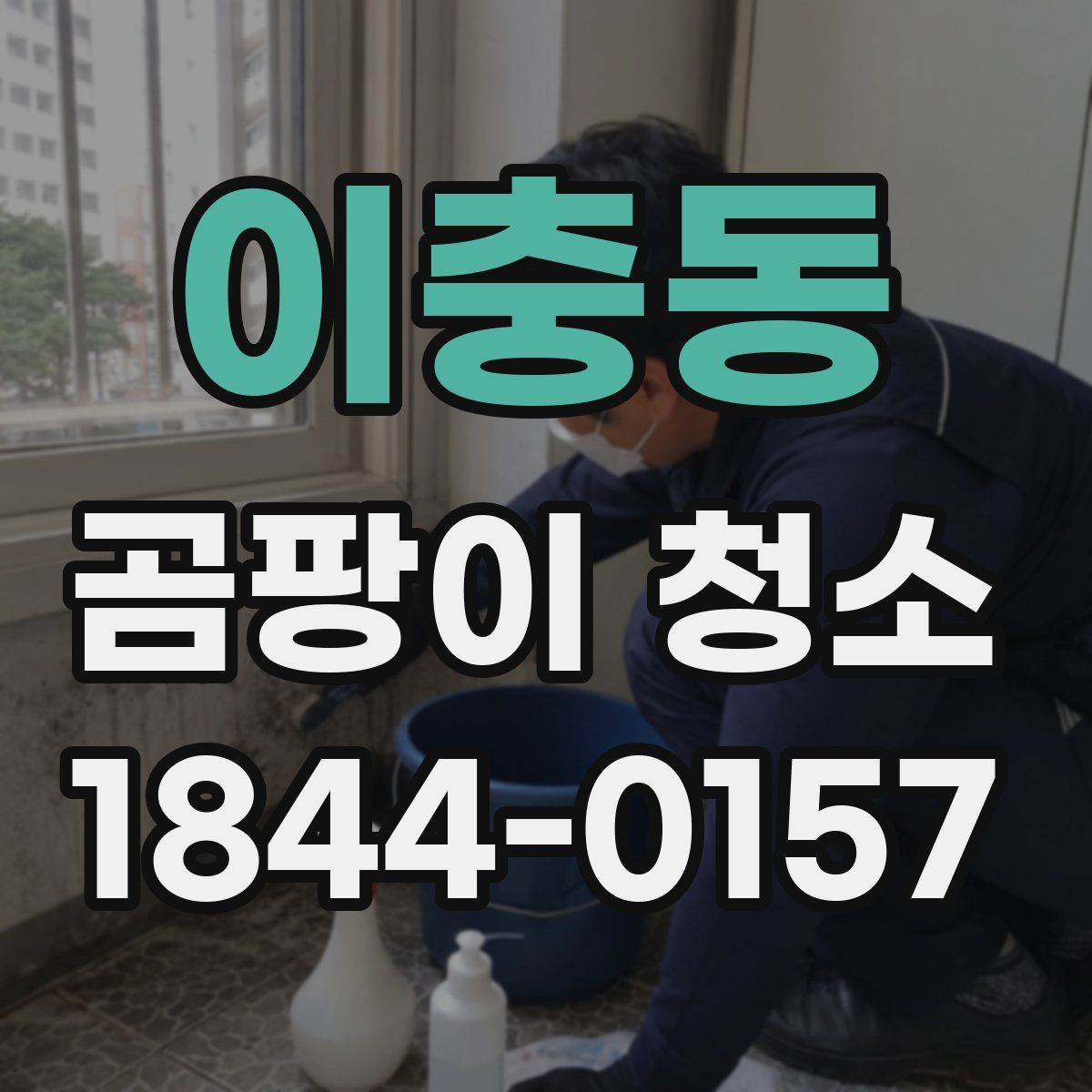 이충동 곰팡이 청소