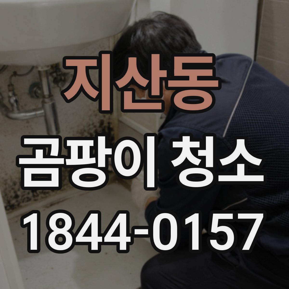 지산동 곰팡이 청소