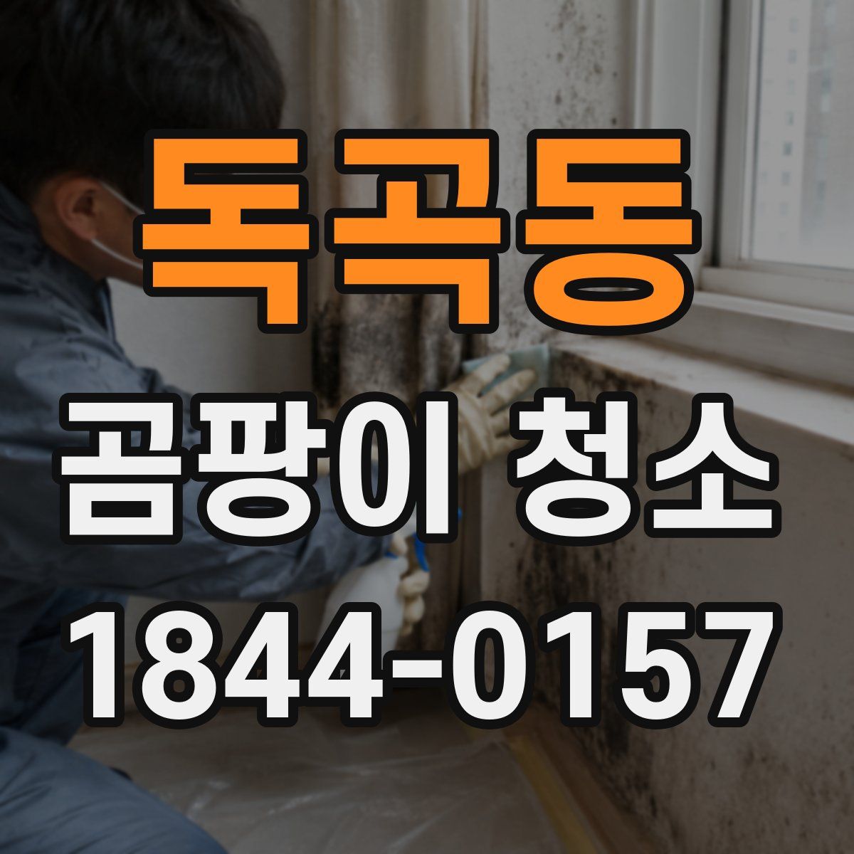 독곡동 곰팡이 청소