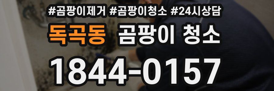 독곡동 곰팡이 청소