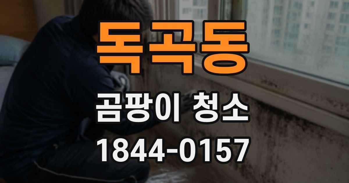 독곡동 곰팡이 청소