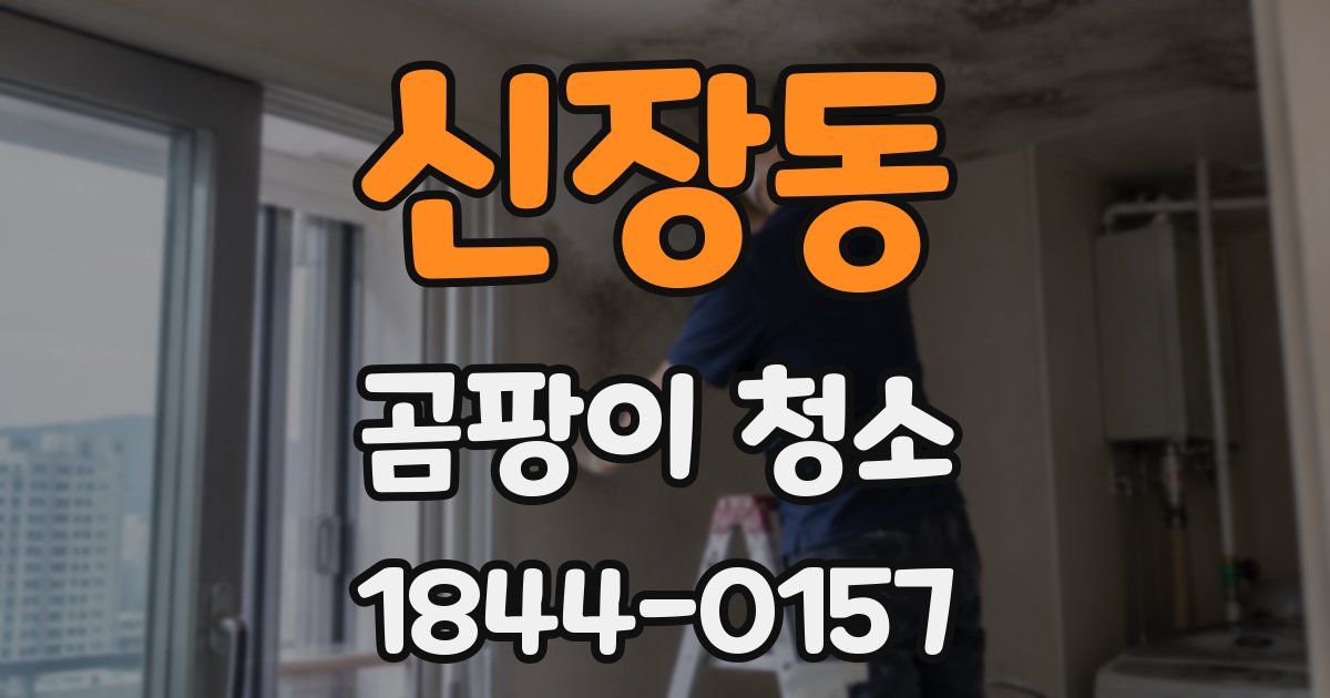 신장동 곰팡이 청소