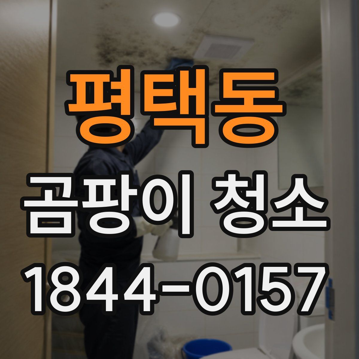 평택동 곰팡이 청소