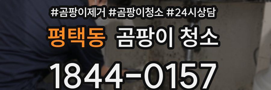 평택동 곰팡이 청소