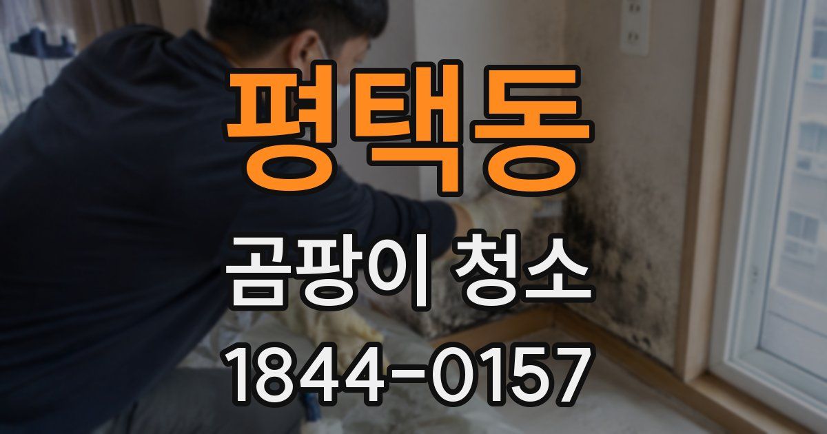 평택동 곰팡이 청소