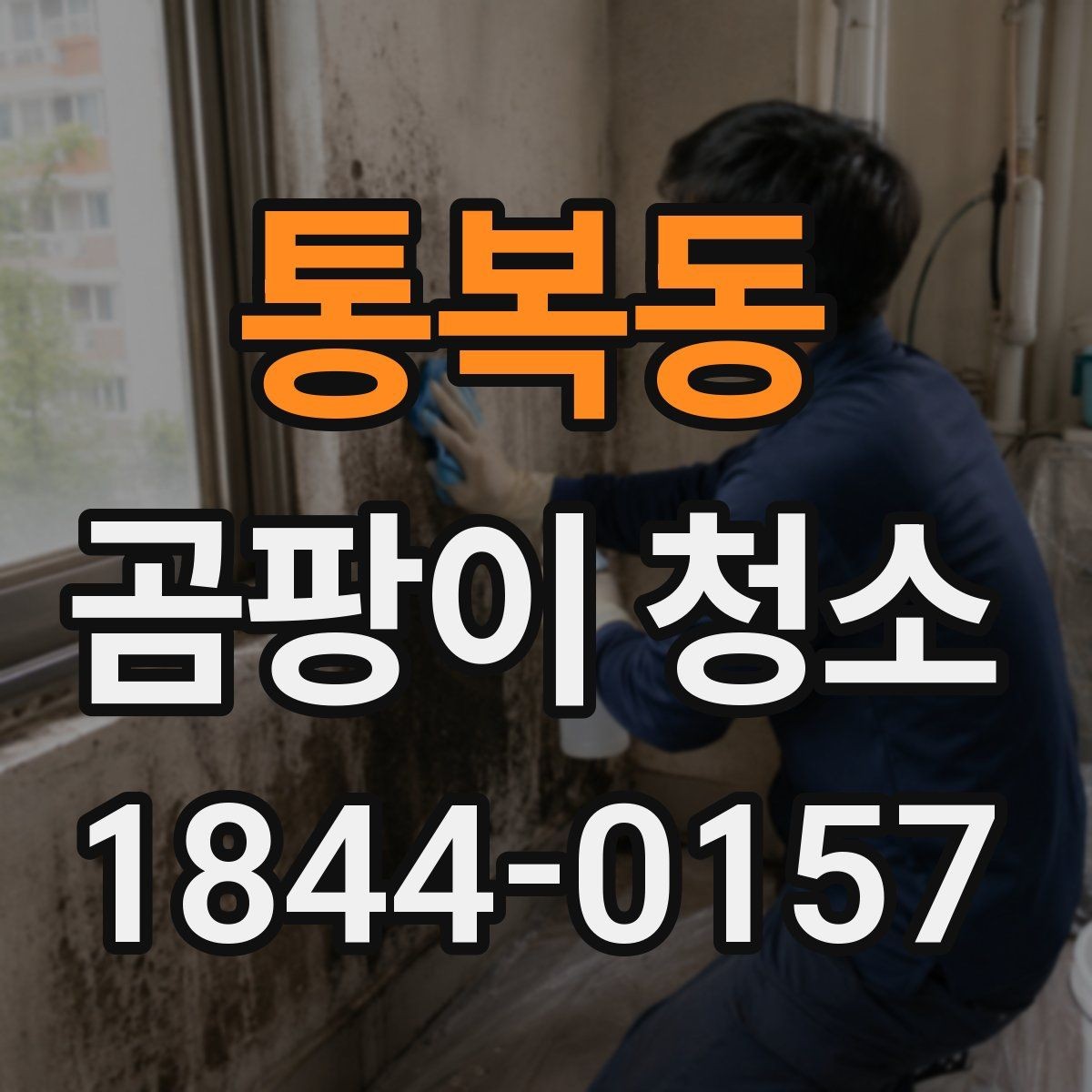 통복동 곰팡이 청소 오래된 얼룩을 표면별로 나눠 보는 팁