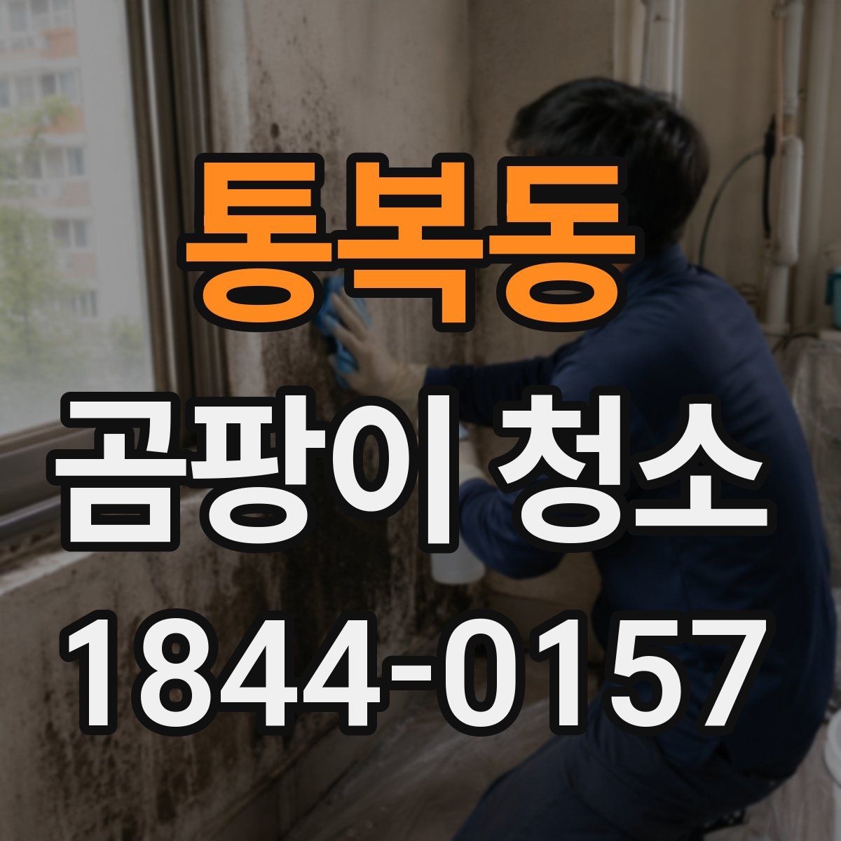 통복동 곰팡이 청소