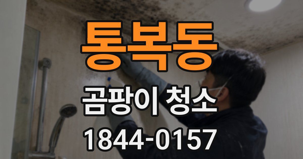 통복동 곰팡이 청소