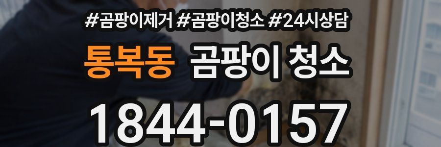 통복동 곰팡이 청소