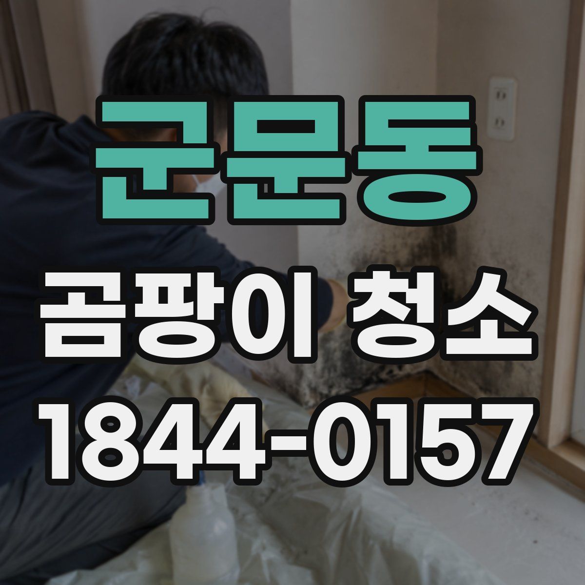군문동 곰팡이 청소