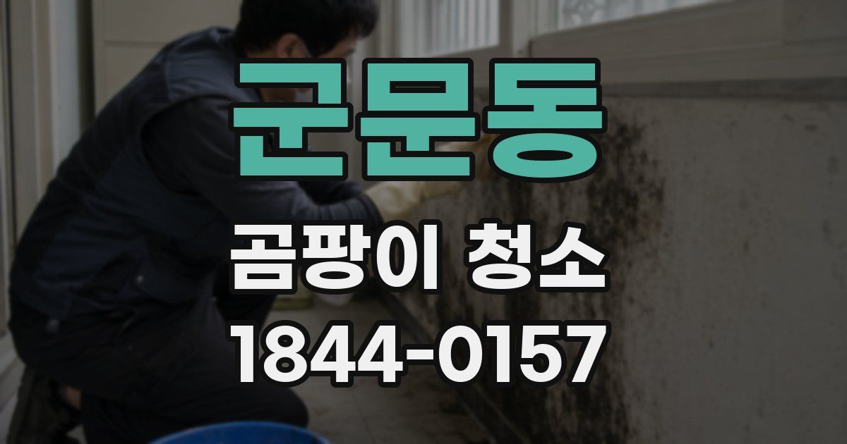 군문동 곰팡이 청소