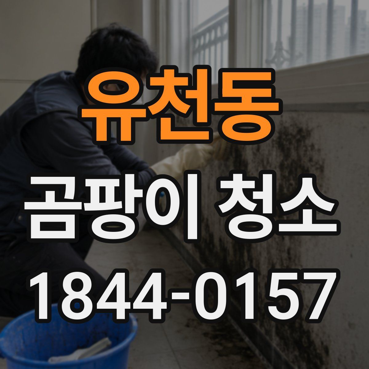 유천동 곰팡이 청소