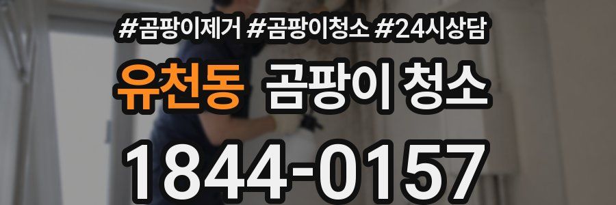 유천동 곰팡이 청소