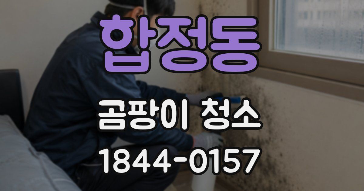 합정동 곰팡이 청소