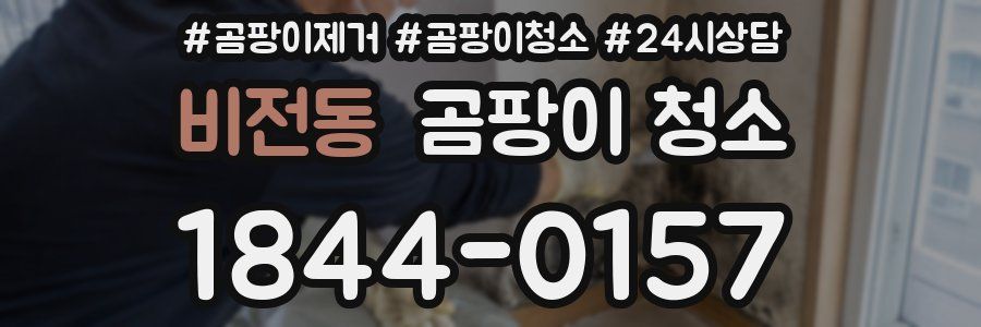 비전동 곰팡이 청소