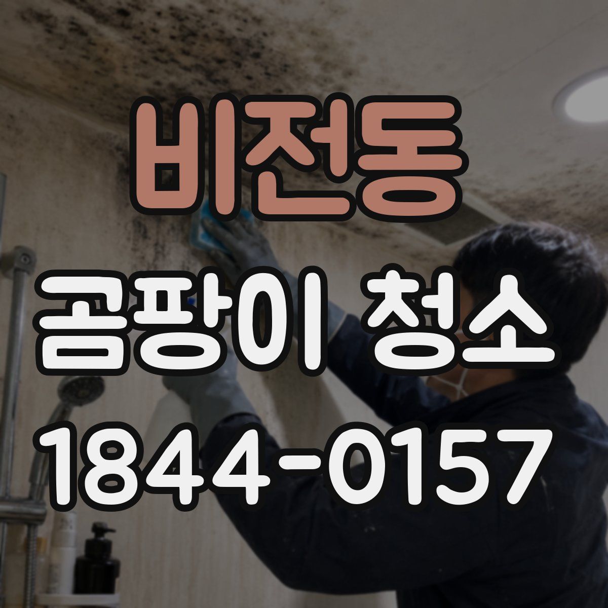 비전동 곰팡이 청소