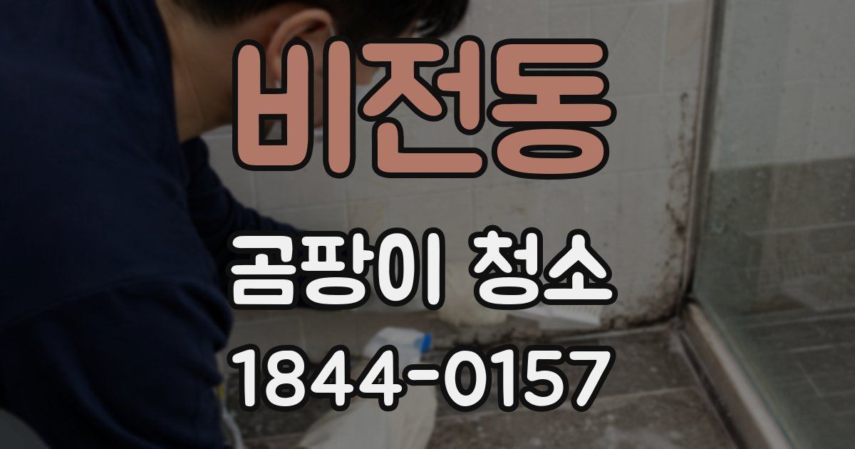 비전동 곰팡이 청소
