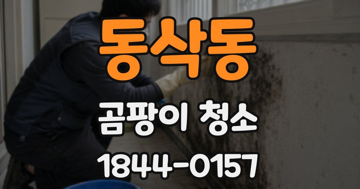 동삭동 곰팡이 청소