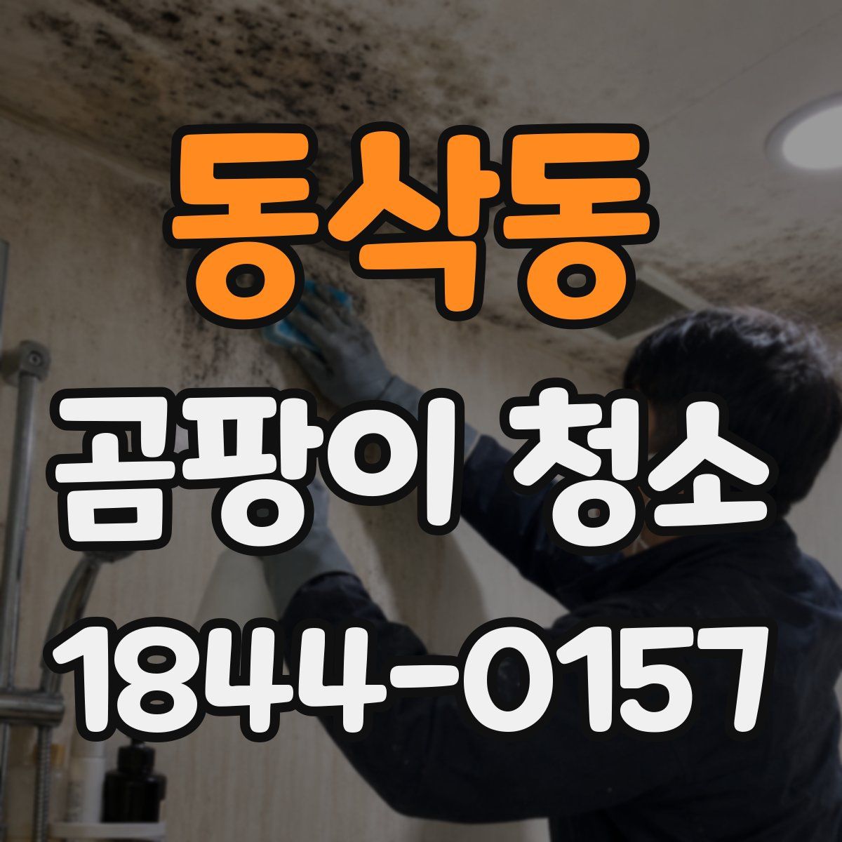 동삭동 곰팡이 청소