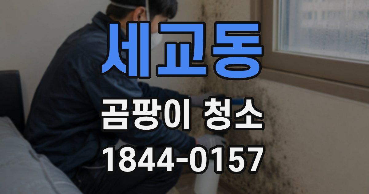 세교동 곰팡이 청소