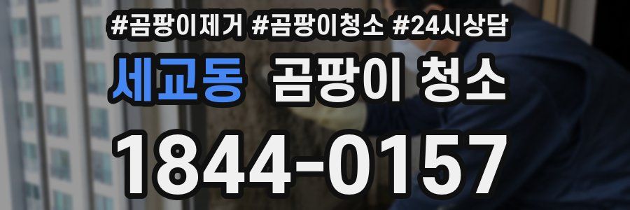 세교동 곰팡이 청소