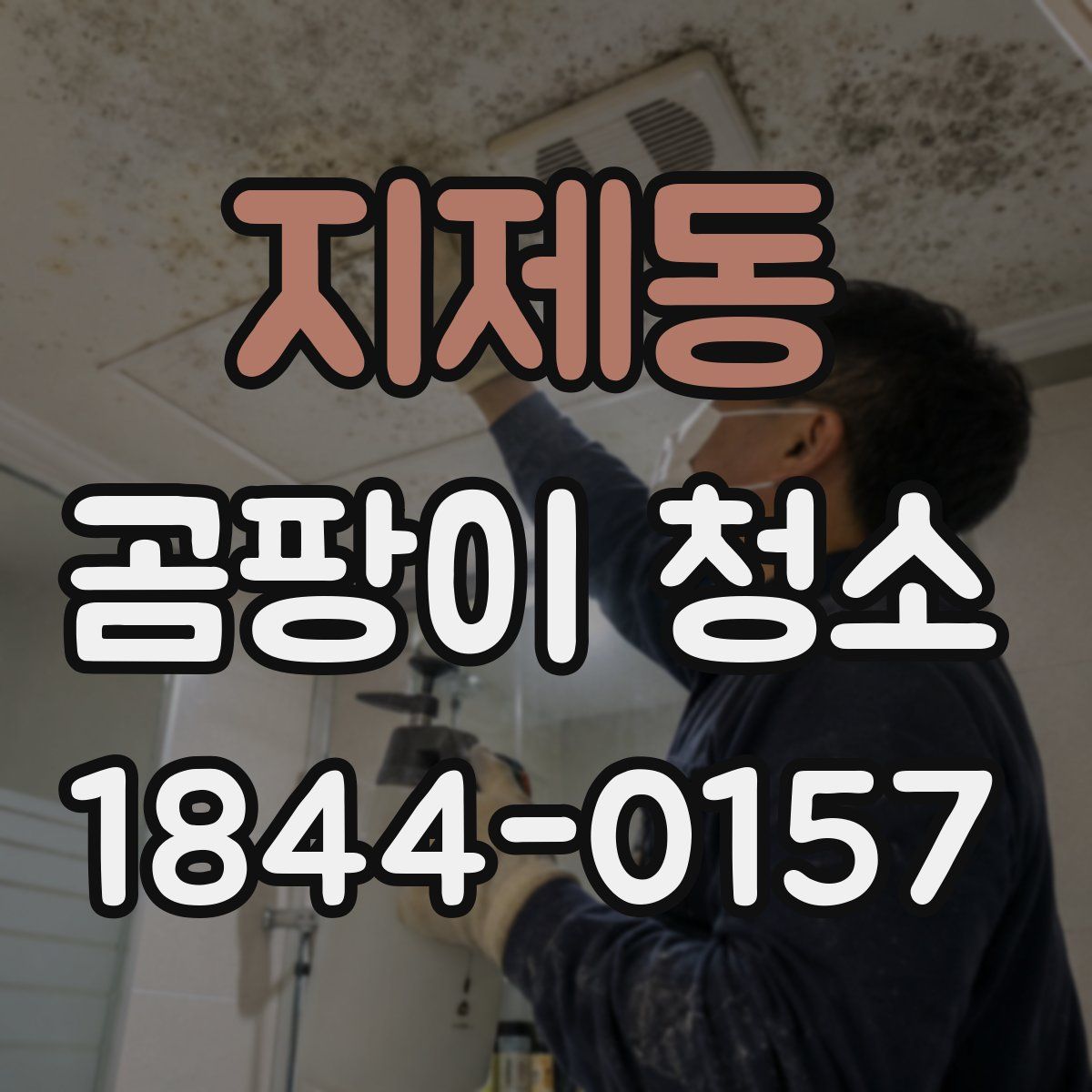 지제동 곰팡이 청소