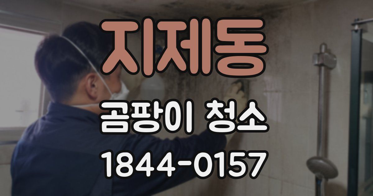 지제동 곰팡이 청소