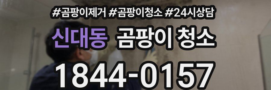 신대동 곰팡이 청소