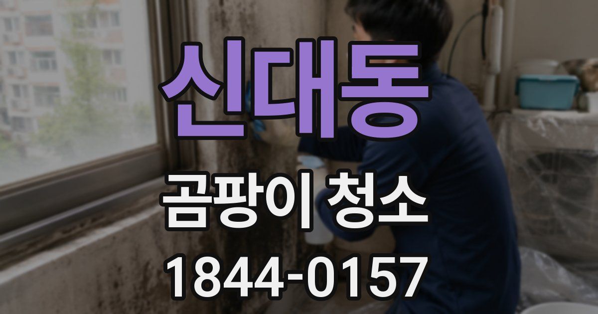 신대동 곰팡이 청소
