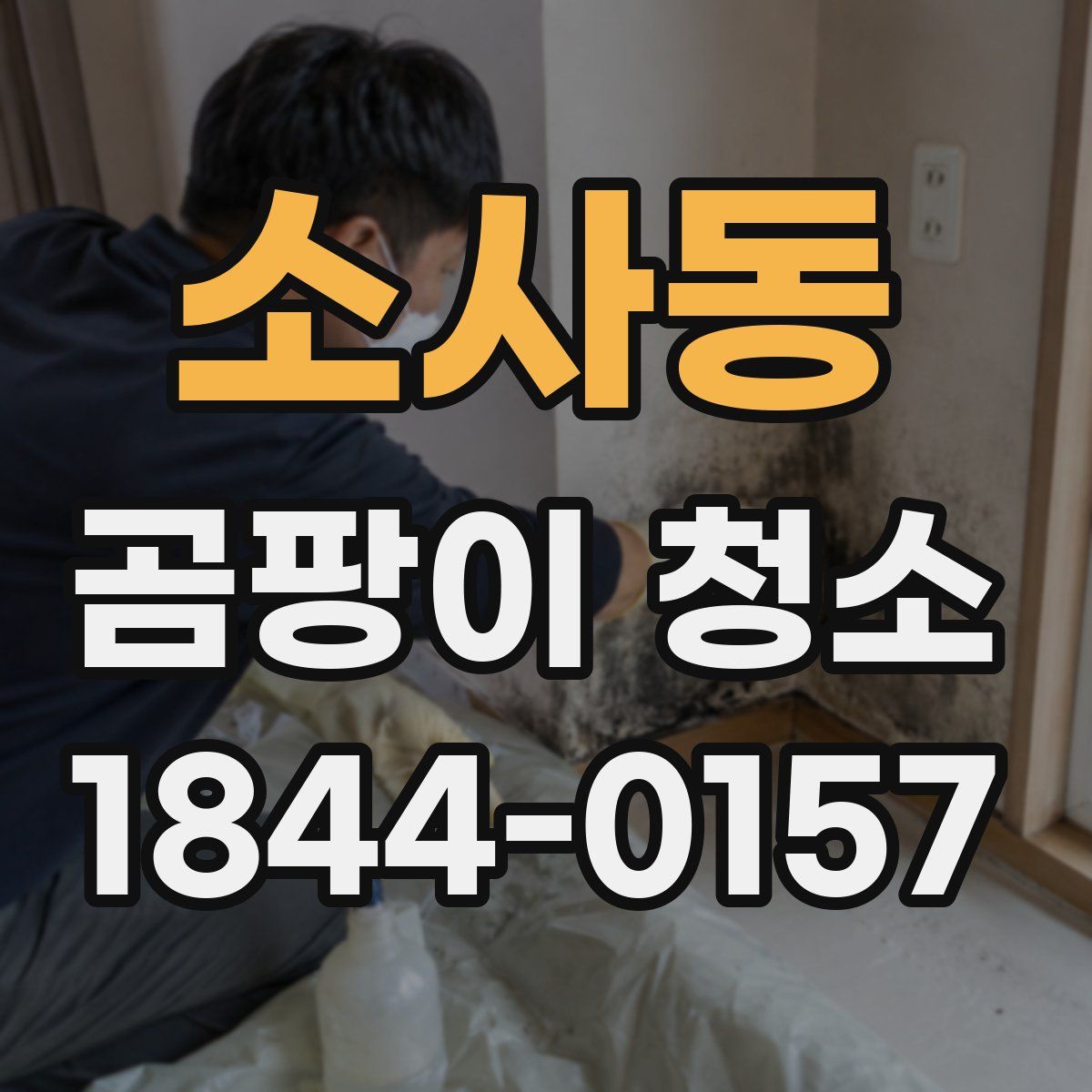 소사동 곰팡이 청소