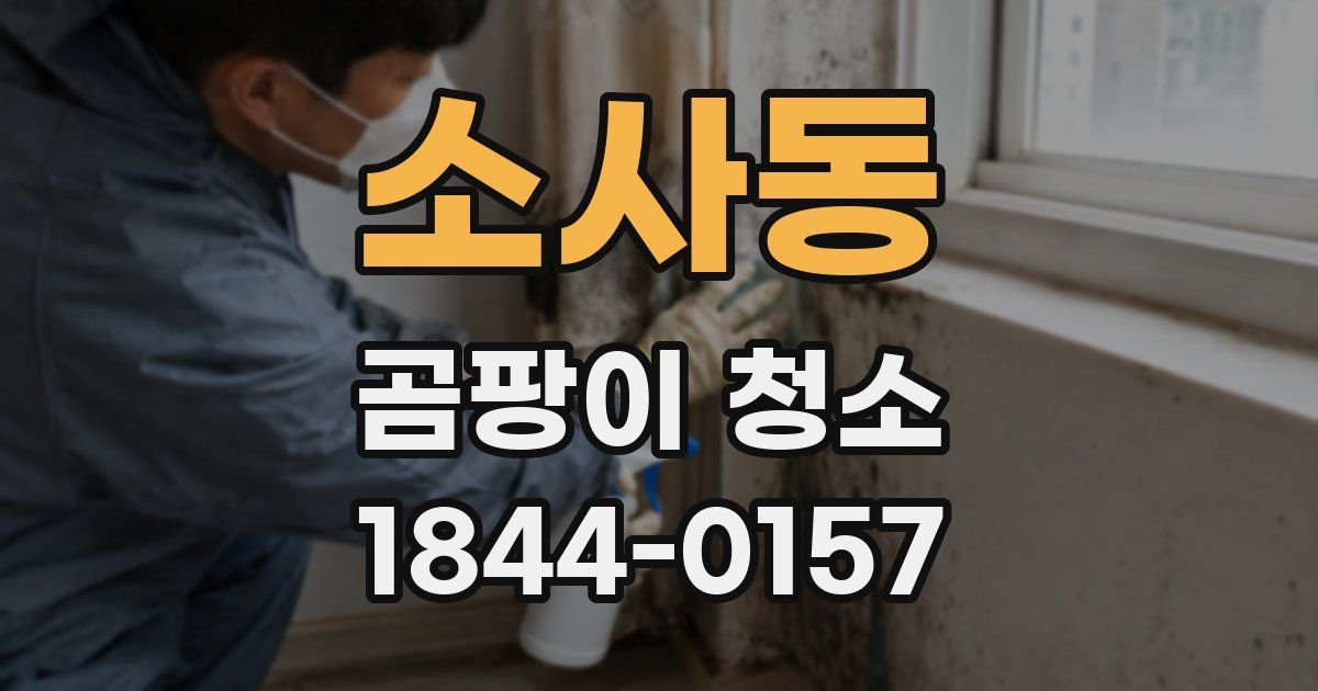 소사동 곰팡이 청소
