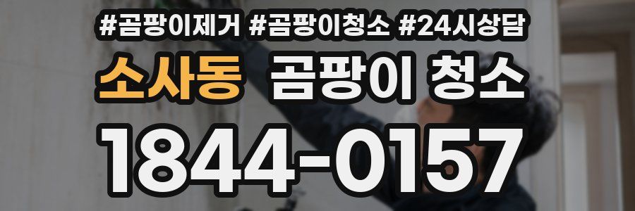 소사동 곰팡이 청소