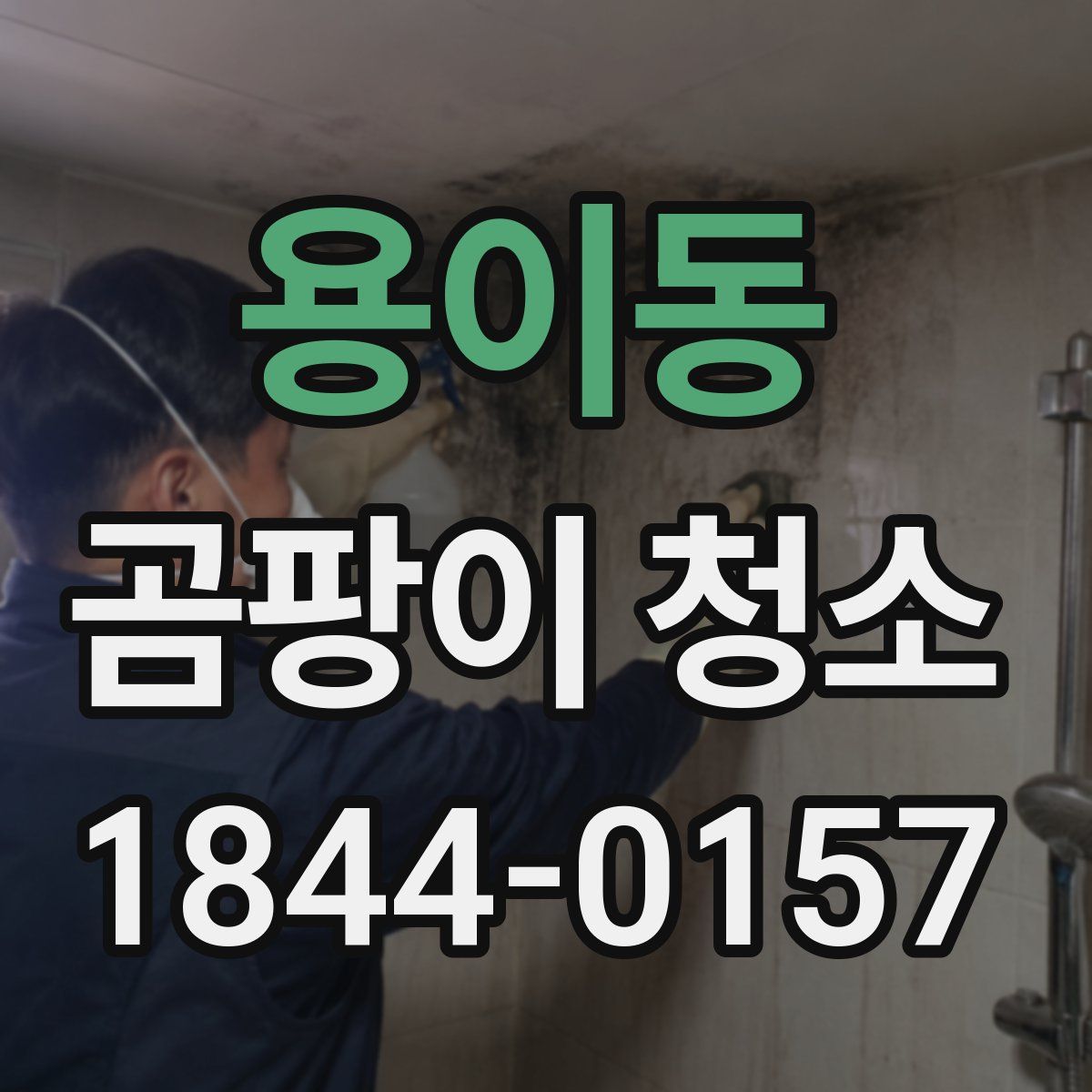 용이동 곰팡이 청소